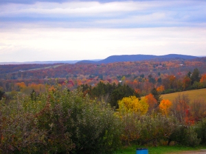 Fall View