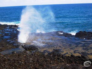 Spouting Horn. Spouting is a little hit  and miss, but how often do you see a blowhole on a beach?
